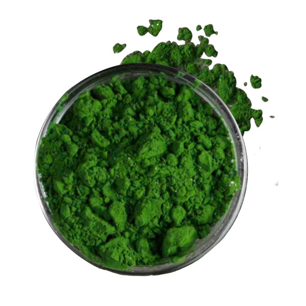 Chlorella-Algen Chlorella-Algen