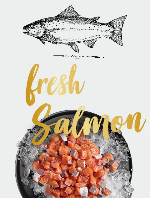 LEONARDO fresh salmon