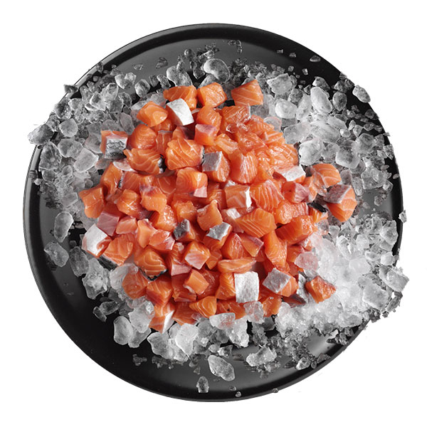 LEONARDO fresh salmon LEONARDO fresh salmon