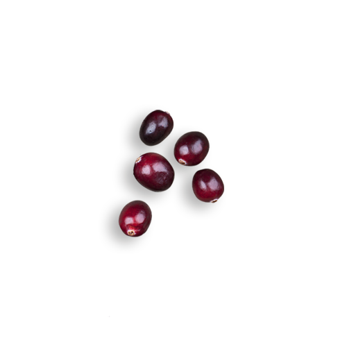 Cranberries Cranberries